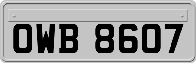 OWB8607