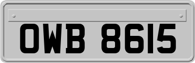 OWB8615