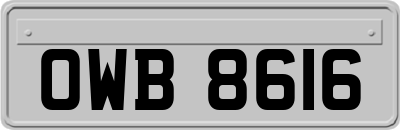 OWB8616