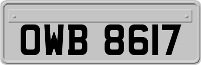 OWB8617