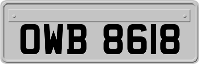 OWB8618