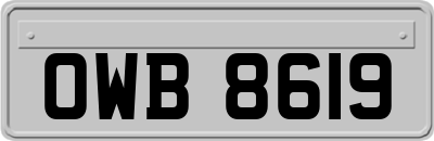 OWB8619