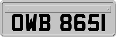 OWB8651