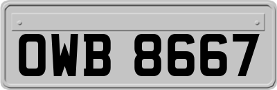 OWB8667