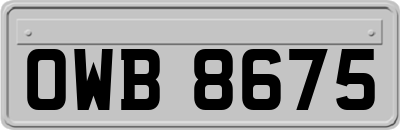 OWB8675
