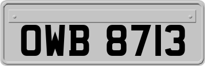 OWB8713
