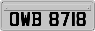 OWB8718