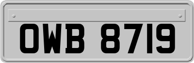 OWB8719
