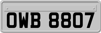 OWB8807