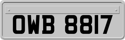 OWB8817