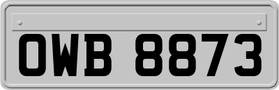 OWB8873