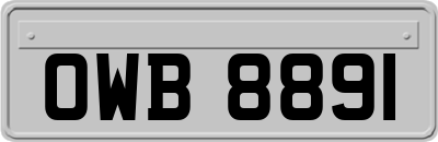 OWB8891