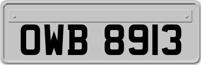 OWB8913