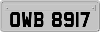 OWB8917