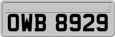 OWB8929