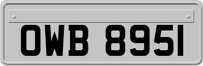 OWB8951