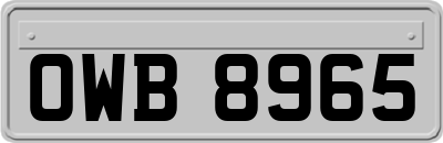 OWB8965