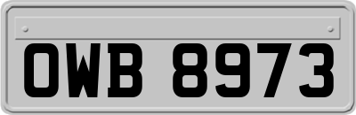 OWB8973