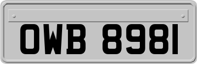 OWB8981