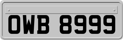 OWB8999