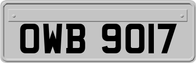 OWB9017