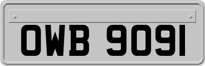 OWB9091