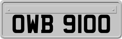 OWB9100