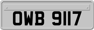 OWB9117