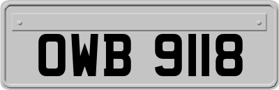 OWB9118