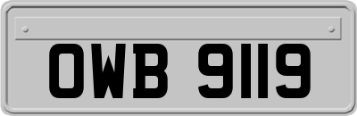 OWB9119