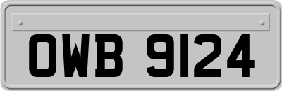 OWB9124