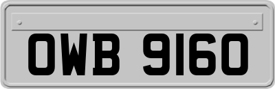 OWB9160