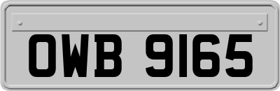 OWB9165