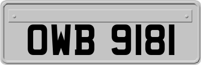 OWB9181