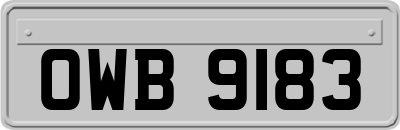 OWB9183