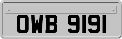 OWB9191