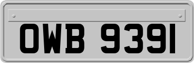 OWB9391
