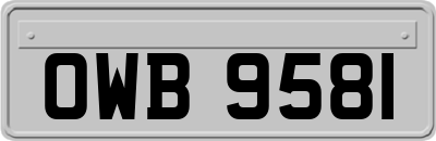 OWB9581
