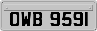 OWB9591
