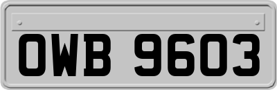 OWB9603