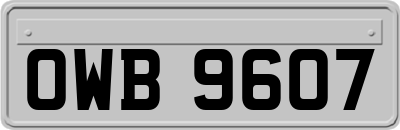 OWB9607