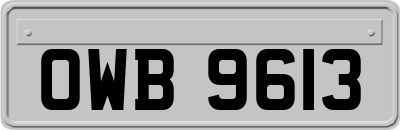 OWB9613