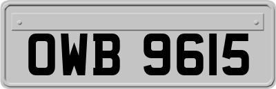 OWB9615