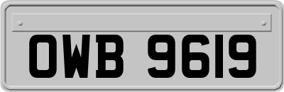 OWB9619