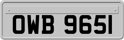 OWB9651