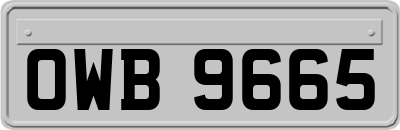 OWB9665