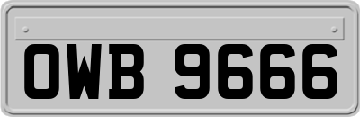 OWB9666