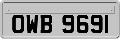 OWB9691