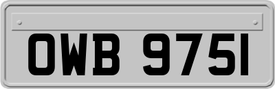 OWB9751