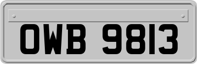 OWB9813